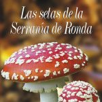 La Serranía - Las Setas de la Serranía de Ronda-0