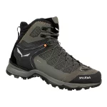 Salewa Mountain Trainer Lite Mid GTX