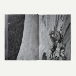 Patagonia - Yosemite in the Sixtees (ENGLISH) - Imagen 6